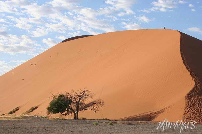 Mud Maps Africa Namibia 1527